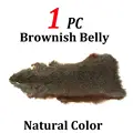 1pc Brownish Belly