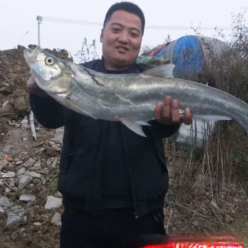 Sedal de Pesca de fluorocarbono, hilo de fibra de carbono de 120M, superfuerte, multifilamento, frontal, 2 unidades - imagen 5