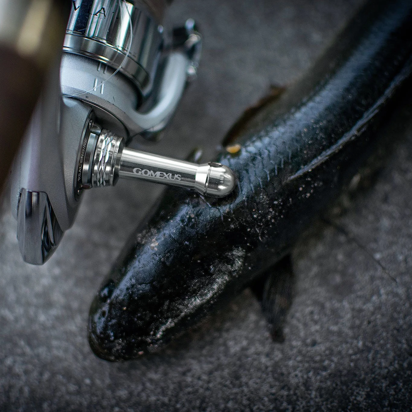 Gomexus Soporte Antirayaduras de Carrete R1 para Shimano Stradic FL Stella Daiwa Luvias 19 Certate LT 1000 - 4000 Spinning Reel Stand Metal 42mm porta carretes pesca soporte cañas de pescar material de pesca - imagen 3