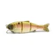 Color 1 swimbait