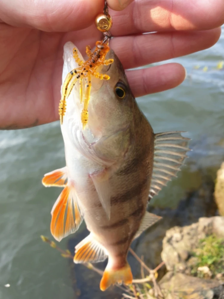 ESFISHING aparejos de Pesca en hielo, cebo de simulación de plástico blando, cangrejo, 10 Uds., 45mm, Señuelos de Pesca artificiales - imagen 5