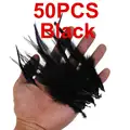 Black 50PCS