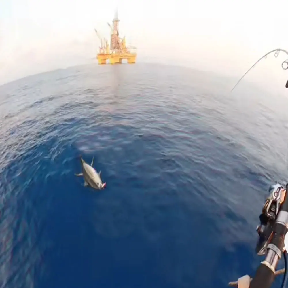 Se está utilizando una caña de pescar para atrapar un pez en el océano