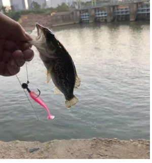 Anzuelo con cabeza de anzuelo de pesca, 4 veces fuerte, Color Original, señuelo fuerte, cola en T, Micro raíz de pez, anzuelos afilados, 1,5g-20g - imagen 4