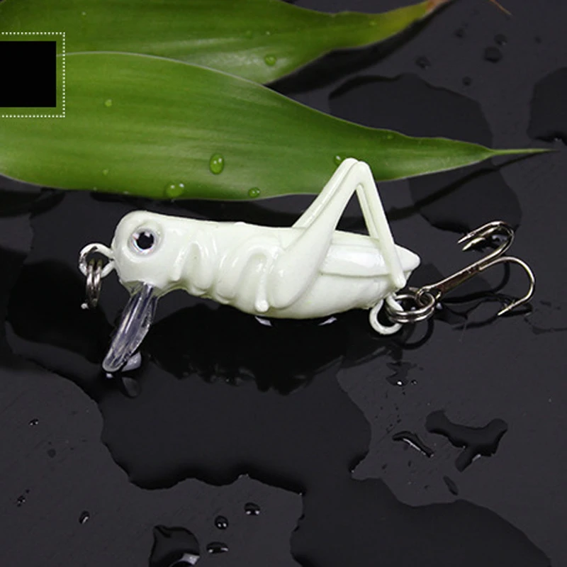 Señuelos de Pesca de insectos saltamontes, juego de cebos artificiales de pesca de basura con caja, plantilla Wobbler, aparejos de pesca de mar X489, 4cm, 3g, 5 unidades por lote - imagen 5
