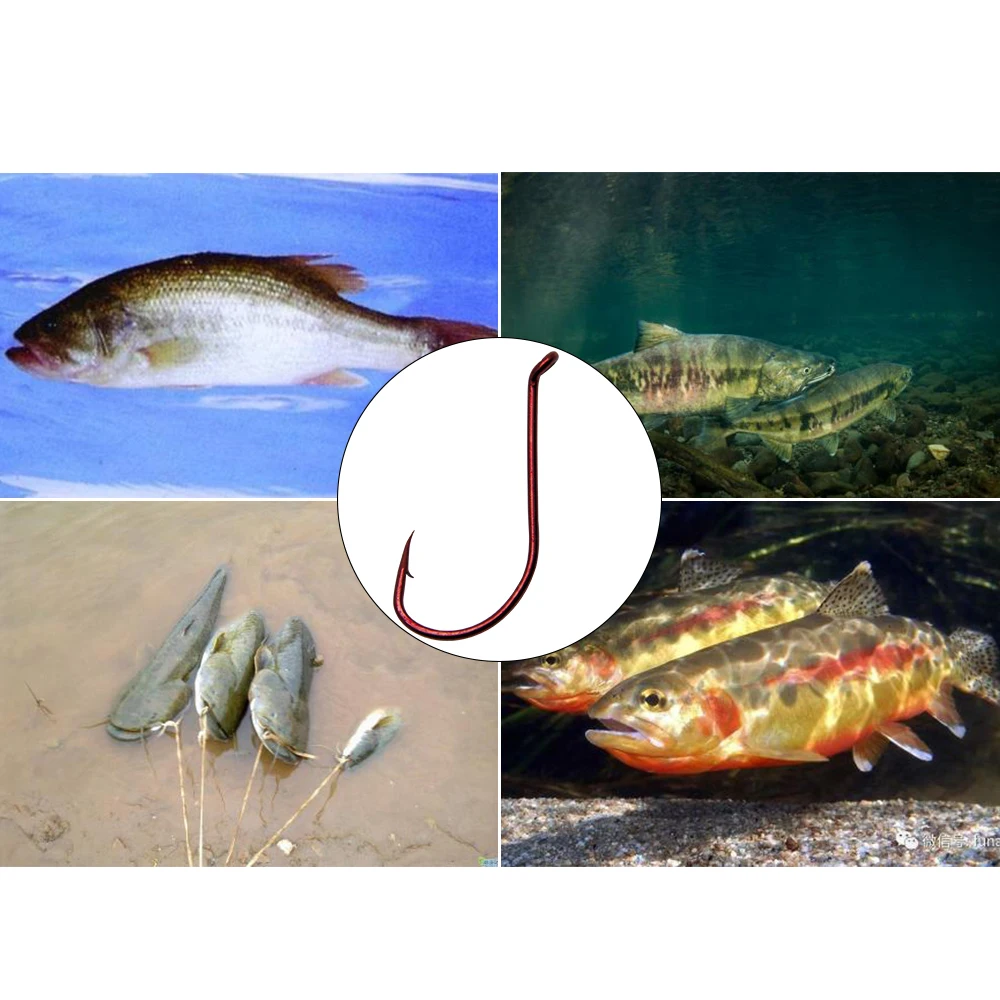 Anzuelo de pulpo de pesca, anzuelo circular de agua salada, para señuelo, gusano, Jigging, agua dulce, bagre, trucha, 100 piezas - imagen 5