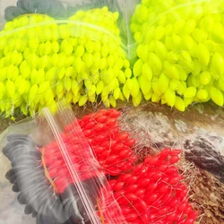 Flotador Mini Seven Star para Carpa – Cuentas Rojas