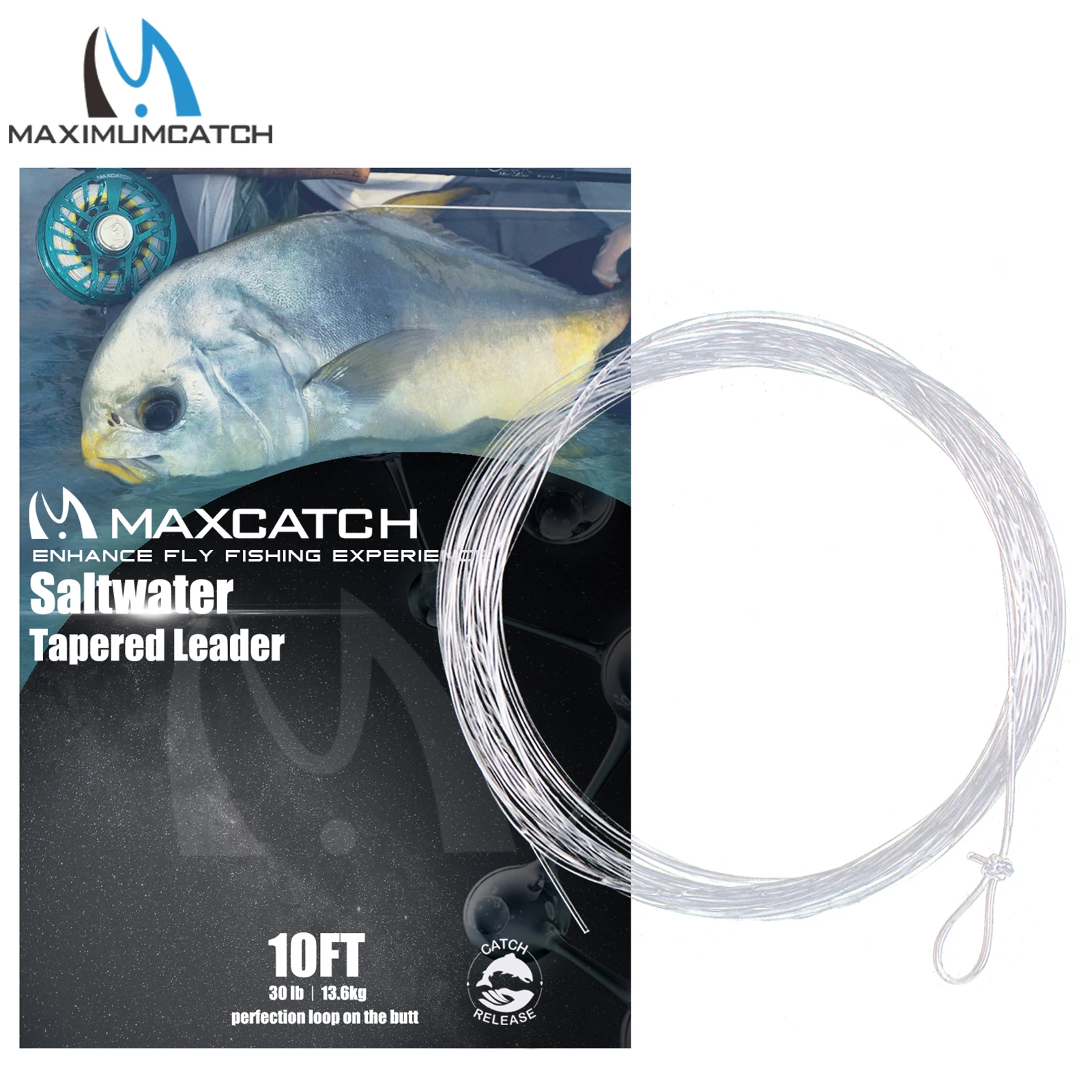 Maximumcatch-sedal de pesca con mosca, líder cónico de agua salada, 10 pies, 10-30LB, con bucles, Color transparente, 6 uds. - imagen 2