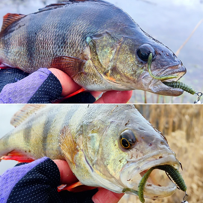 TSURINOYA 63mm 0,7g 40 Uds juego de luz cebo suave señuelo de pesca BOUNDEN gusano de silicona Artificial Ajing Bass Pike Swimbaits