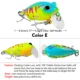 Color E