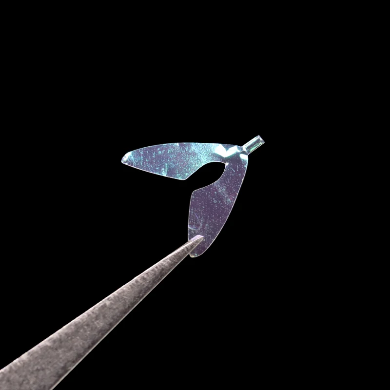 Bimoo-ALAS de abeja precortadas, materiales de atado de mosca de abeja realista, alas de insecto transparentes, protección UV, 20 pares/caja - imagen 3