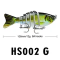 HS002 G
