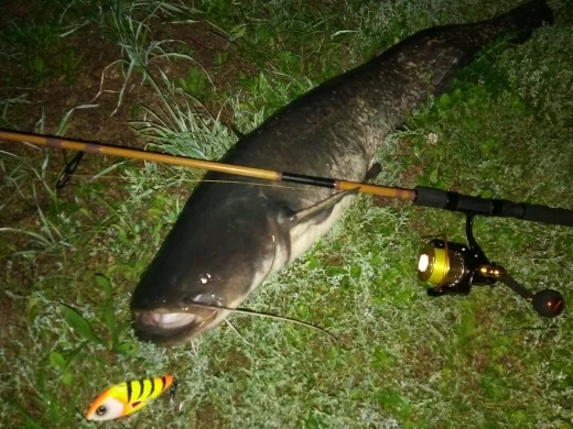 Hunthouse-señuelo de Pesca Salmo Slider, señuelo de Pesca de 7 y 10cm, Crankbaits, Lucio, Leurre, LW130 - imagen 5