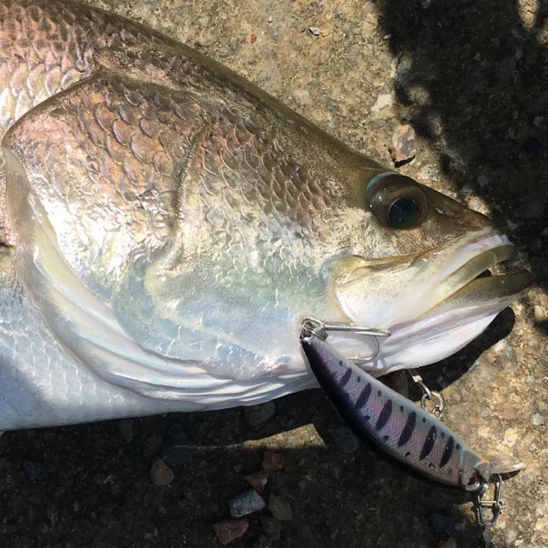 Señuelo de Pesca Wobbling de diseño japonés, 70mm, 10g, que se hunde pececillo, cebos artificiales para perca, lubina, Lucio, Tro, 1 pieza - imagen 4