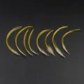 Crest Feathers 20pcs