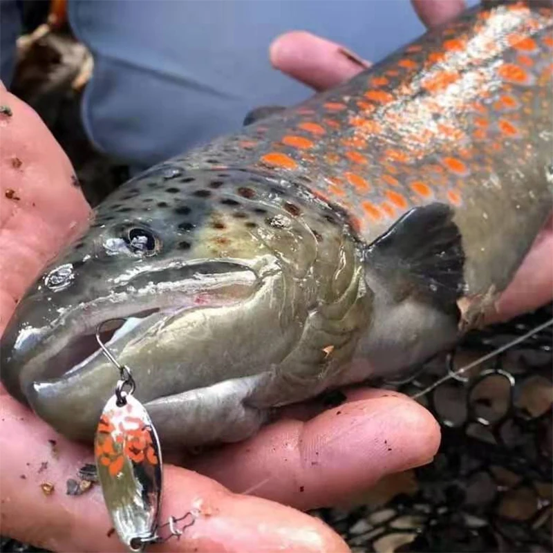ELITELURE-cebo de lentejuelas de trucha Makou Luofei, cebo de corriente, subcebo - imagen 4