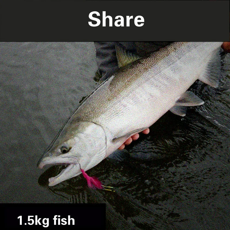 Línea de fibra de carbono superfuerte, hilo de Pesca de fluorocarbono, multifilamento, líder frontal, 118M, 2 unidades - imagen 5