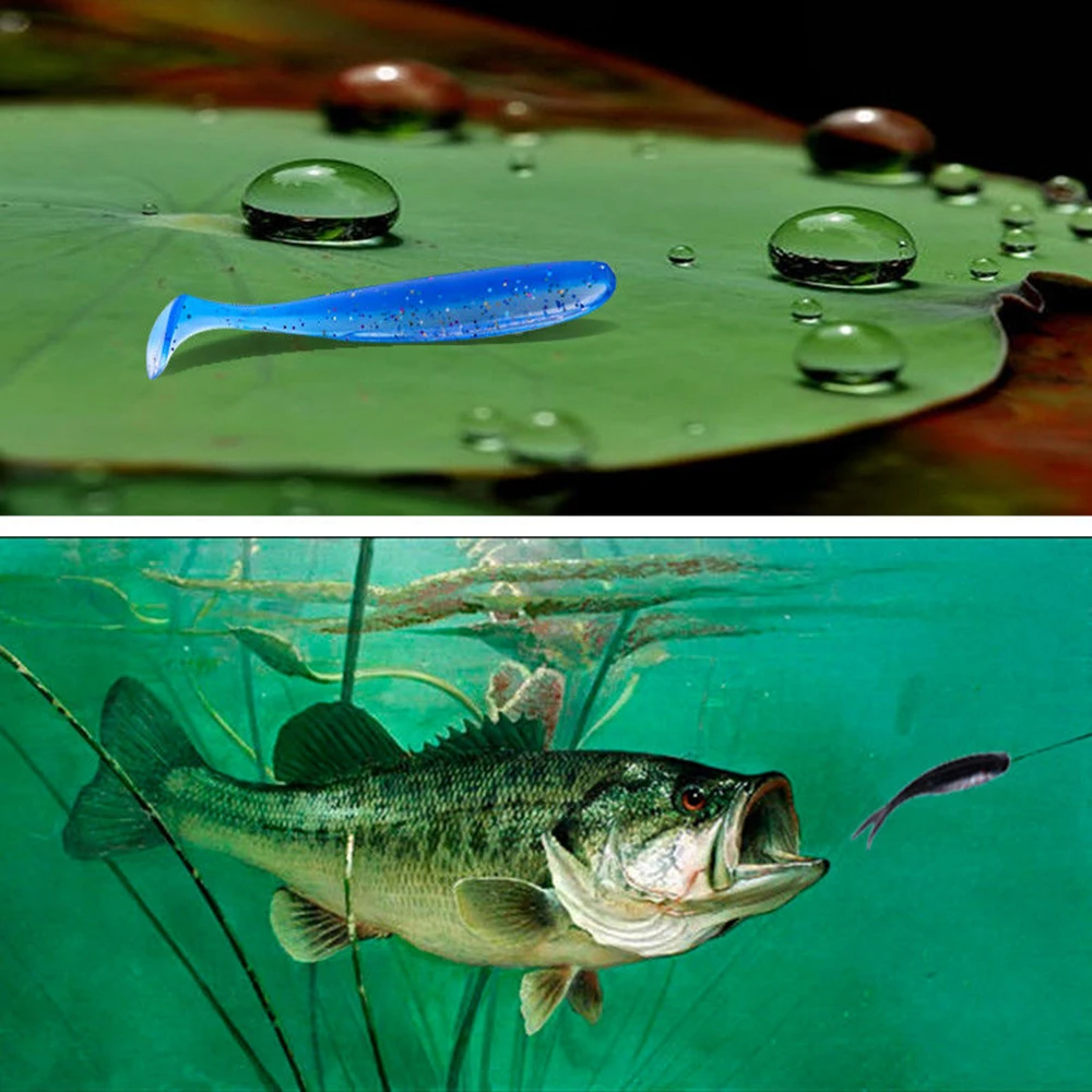 Experimente la emoción de la pesca con nuestro cebo y aparejos de alta calidad