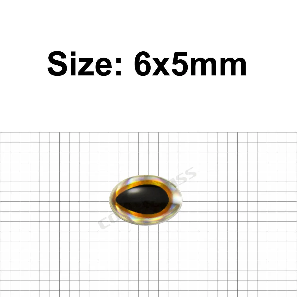 6x5mm