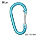 Blue-55x30.5mm
