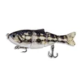 Color 8 Swimbait
