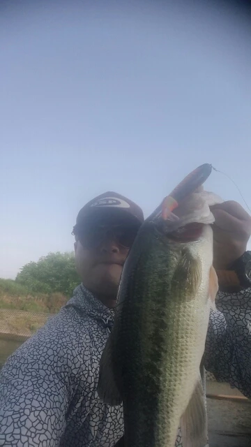 Hunthouse-señuelo de pesca Whopper Popper LW114 Plopper, 110mm, 19g, señuelo de pesca de superficie de Musky, hecho para lápiz de pesca - imagen 5