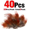 40Pcs Feather