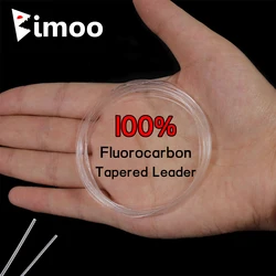 Lider fluorocarbono conico 9 pies para pesca con mosca en agua salada