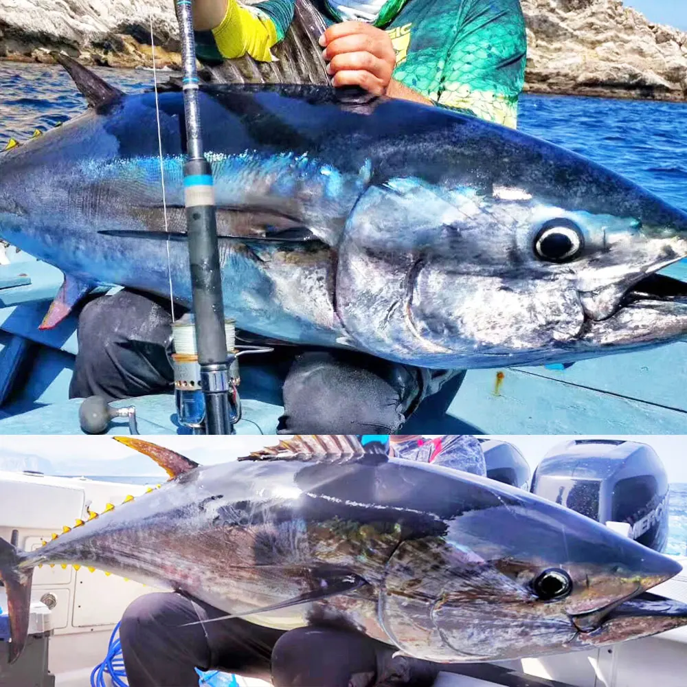 AS TopWater-Wobblers Swim Stickbait, señuelo de Pesca de madera de 65g, 100g, lápiz de arrastre de atún, Pesca Artificial flotante de fundición larga - imagen 5