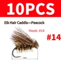 10pcs Peacock
