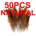 50pcs natural