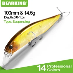 Bearking Señuelo de pesca duro – Cebo artificial para depredadores