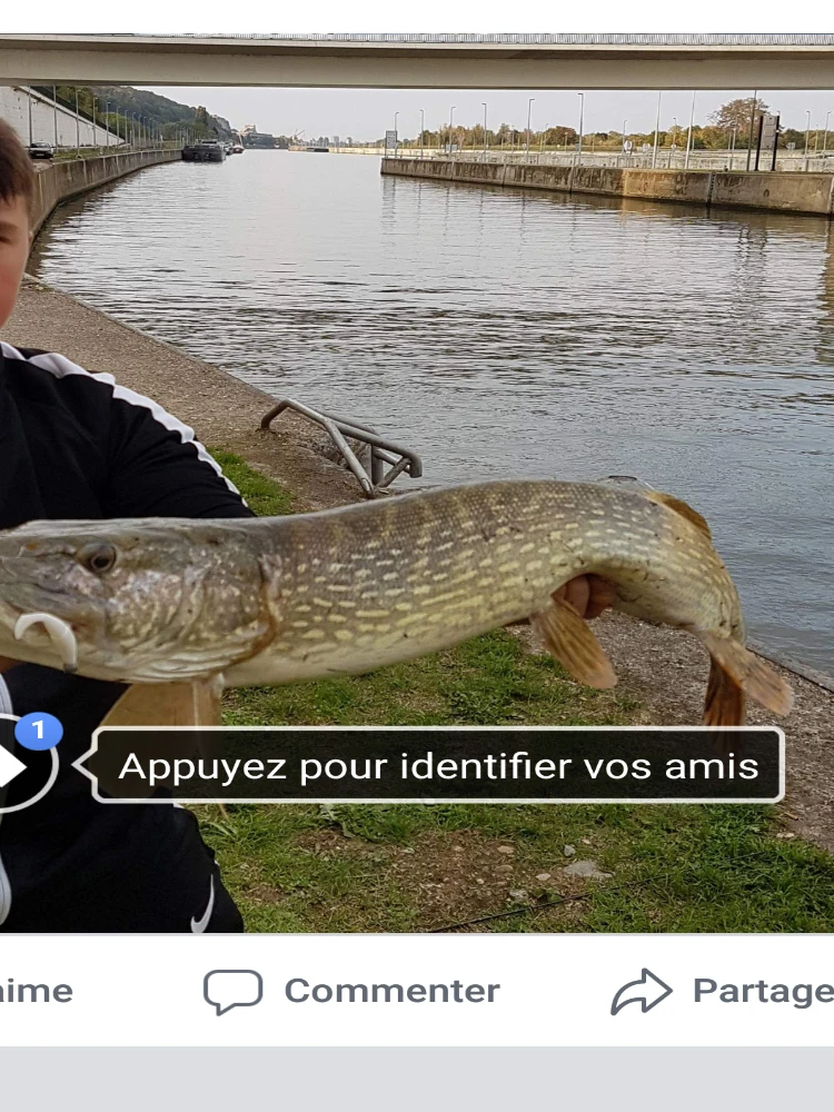 KESFISHING Señuelos blandos Shad Easy Shiner 2 ", 2,8" Pesca Isca Leurre Souple aparejos de Pesca señuelo de trucha Artificial - imagen 5