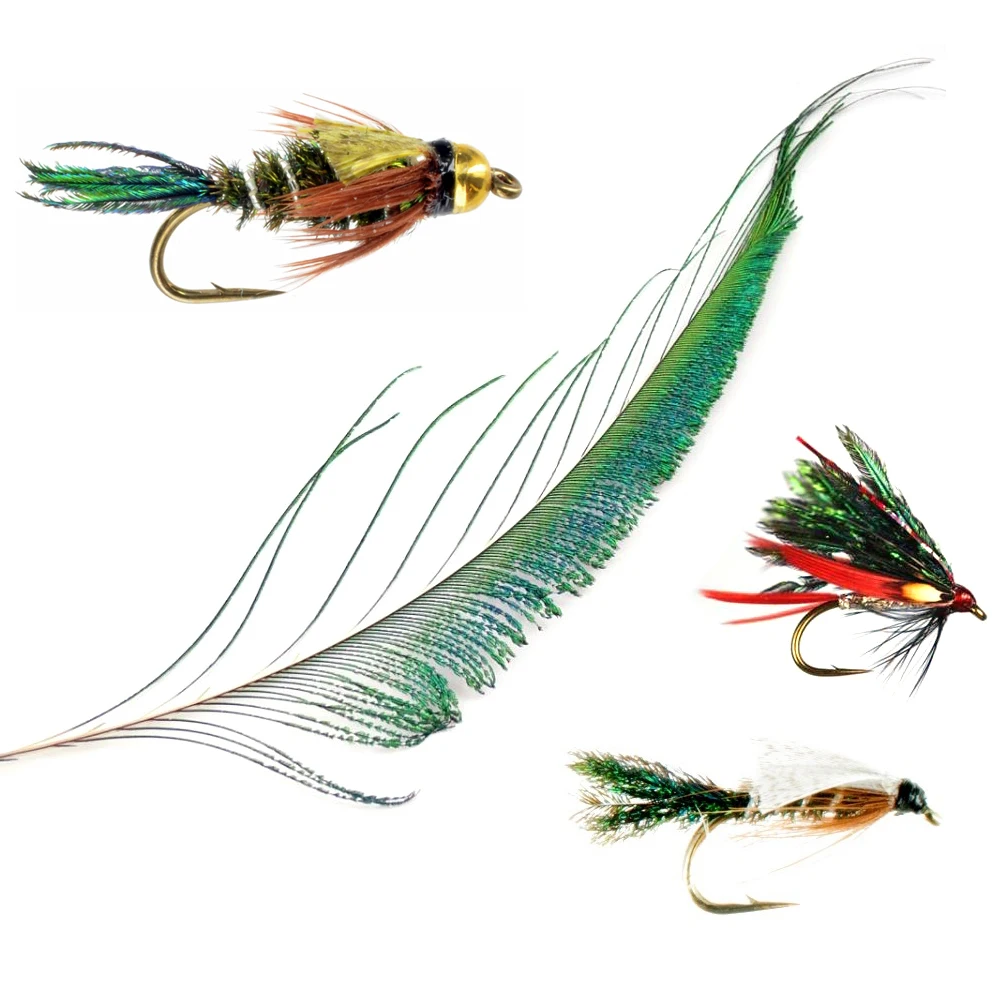 Wifreo-pluma de cola de espada de pavo real para atar moscas, ninfas, moscas húmedas, Material de pesca, 20 Uds. - imagen 5