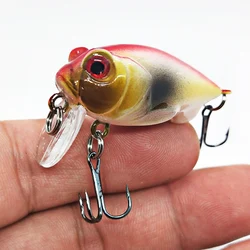 Crankbait de calidad - Señuelo duro flotante para carpa