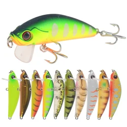 Señuelo artificial Minnow 3D para lubina con ojos realistas