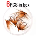 Orange 6pcs