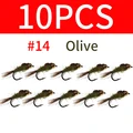 10pcs Olive