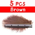 5pcs Brown