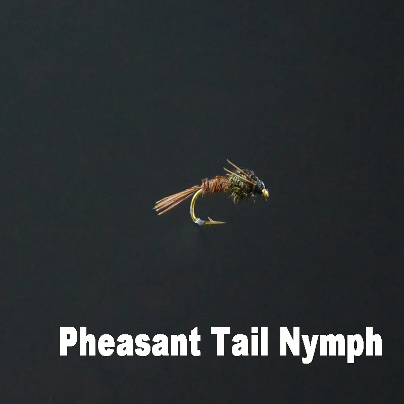 Pheasant Tail Nymph