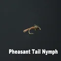 Pheasant Tail Nymph