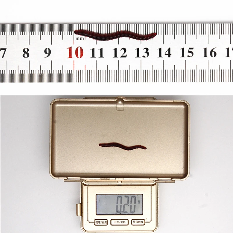 Señuelo fluorescente para pesca de gusano de tierra, cebo suave de silicona, olor a pescado, camarón, aditivo para lubina y carpa, 35mm, 20-100 unidades - imagen 2