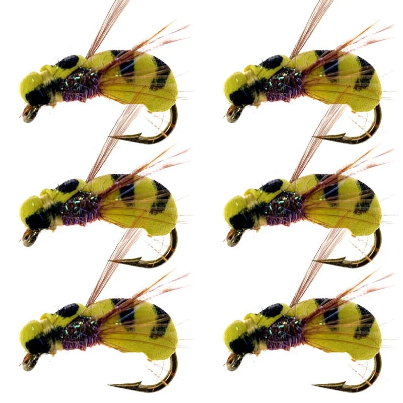 Abeja amarilla espuma flotante: mosca seca para trucha