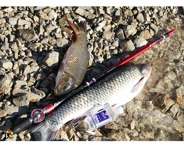 Aventura de pesca capturada en un momento sereno