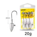 20g