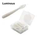 C Luminous40pcs