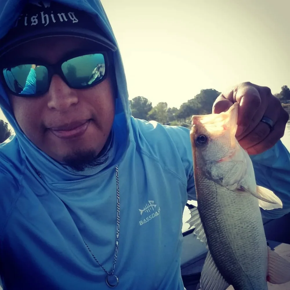 ¡Atrapando un momento de alegría con hermosos peces!