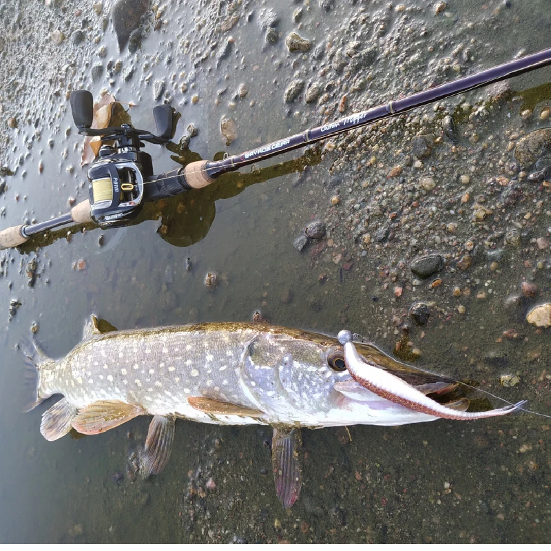 ESFISHING-cebo de silicona suave, armadura de sábalo, cola de horquilla de 125mm, olor a pez, pececillo, Isca, Señuelos de Pesca artificiales de mar