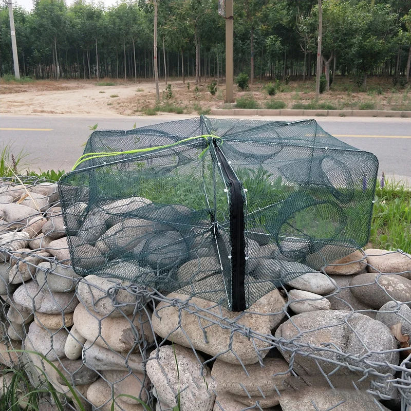 Red de pesca automática con 6 agujeros, red plegable hexagonal para pescar camarones, peces, camarones, pececillos, cebos de cangrejo, trampa de malla fundida B082 - imagen 4