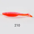 NW210